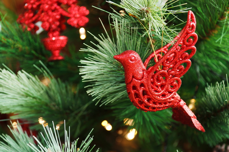 holiday, xmas, celebration event, needle - plant part, nature, no people, bird, ornament, close-up, beauty in nature, Branch, decorate, winter, hung, decoration