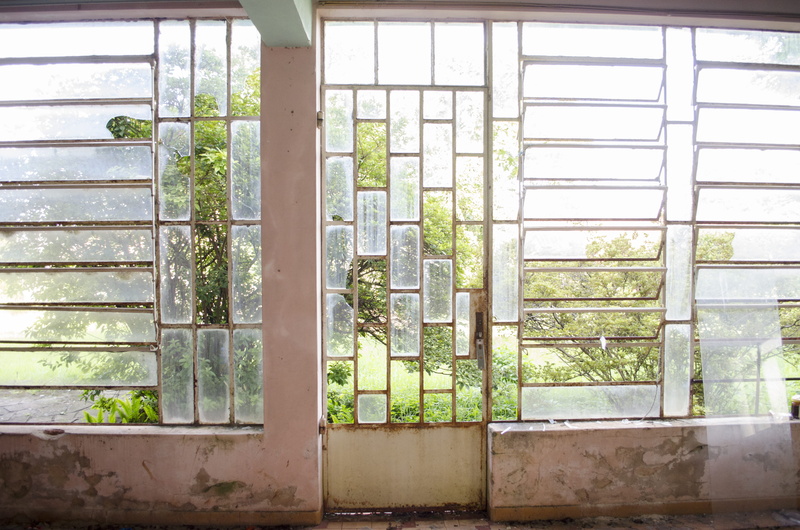 growth, door, french door, coffee table, window shade, home decor, no people, built structure, grille, folding door, sunlight, day, transparent, curtain