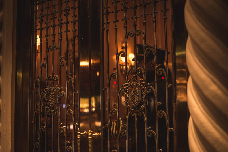 handrail, blossom, steel, gate, human, design, pattern, close-up, ornate, luxury, religion, built structure, light, banister, floral pattern, spirituality