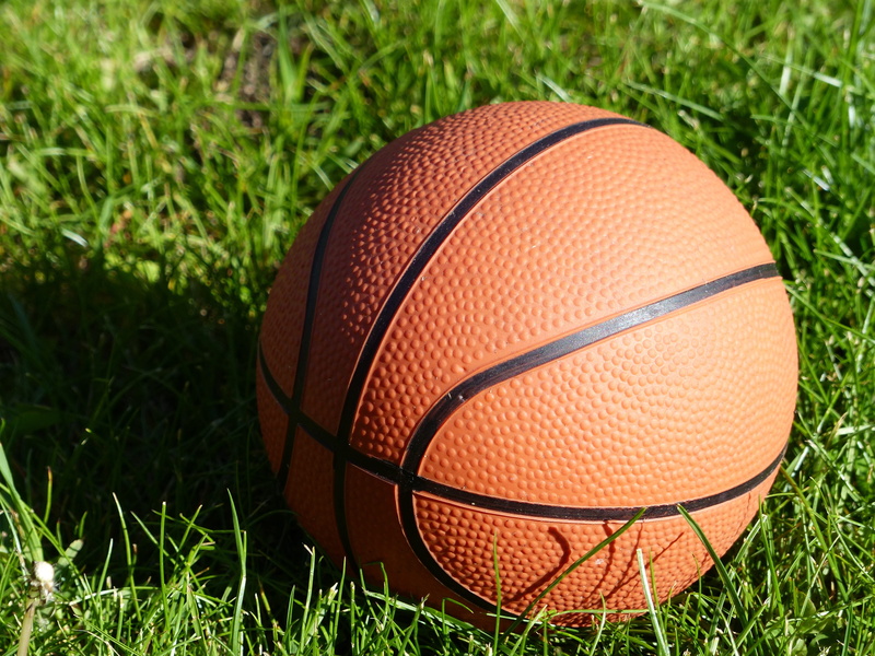 basketball - ball, sphere, orange color, close-up, field, outdoors, green color, plant, outdoor, competition, active, basketball - sport, sport, sports equipment