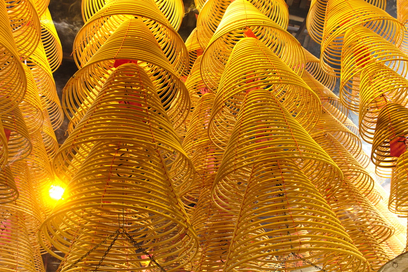 low angle view, coil, fir, illuminated, window display, ornate, backgrounds, clothing, plant, yellow, apparel, abundance, gold colored, fractal, decoration