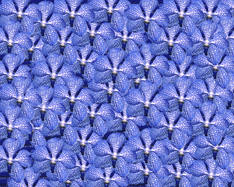 full frame, purple, blue, textured, background, backgrounds, screen saver, floral pattern, nature, textile, extreme close-up, vintage flowers, shape, large group of objects