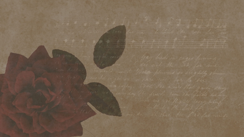 creativity, education, message, background with red rose, blackboard, nature, old, vintage background, 2K, flower, screen saver, textured, plant, art and craft
