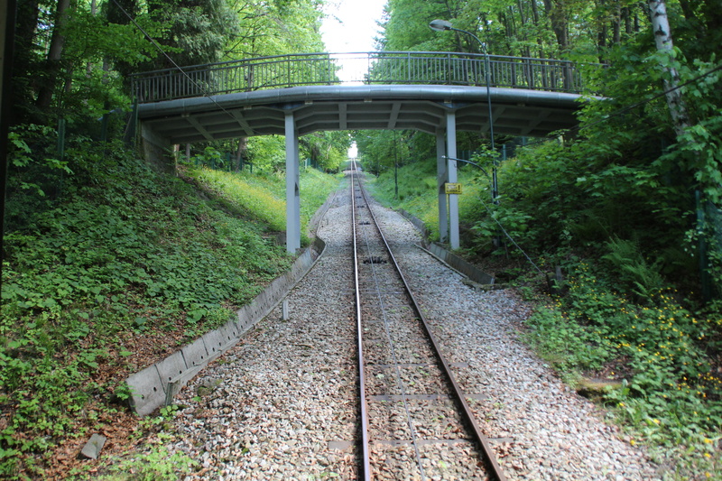 view, the queue, mountain, no people, holiday, module, direction, rail transportation, railroad track, tree, scenery, 5K, diminishing perspective, beskid
