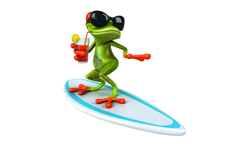 frog, surf, funny, d, surfing, 2K