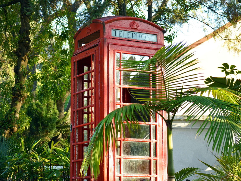 phone, outdoors, box, 2K, no people, retro, technology, built structure, window, connection, growth, british, pay phone, red, nature, booth, branch, green color