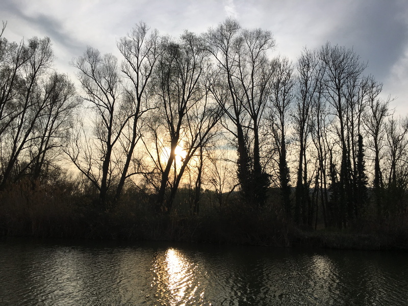 sunrise, waterfront, tree, weather, sky, land, france, ill canal, landscape, dusk, fog, red sky, non-urban scene, tranquil scene, mulhouse, reflection