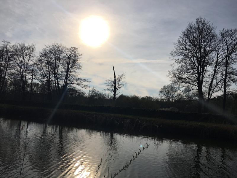 sky, marsh, canal, flare, plant, bog, animal themes, sunrise, tranquility, tranquil scene, no people, swamp, sunlight, land, light, nature, outdoors, water