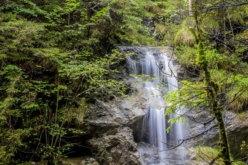 non-urban scene, water games, forest, wet leaves, waterfall, long exposure, no people, inject, bubble, flowing water, autumn, tree, background image, alpine