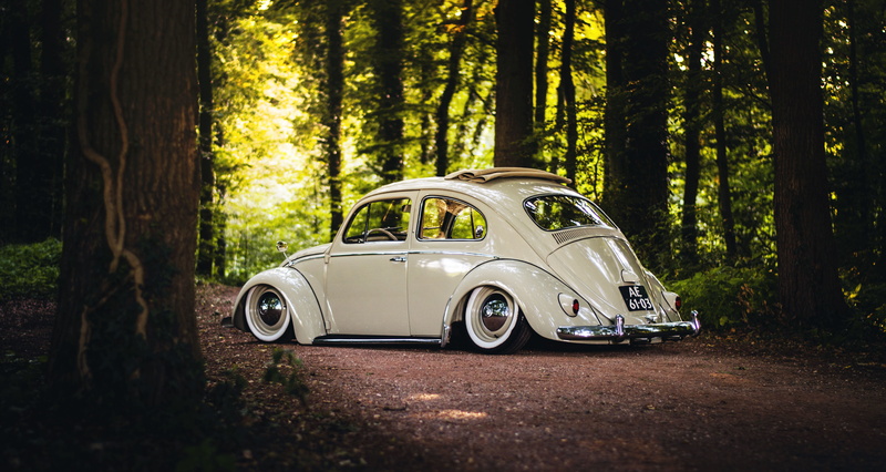 trees, Volkswagen, 4K, sunroof, rear, Beetle, wheels, forest, sunshine, road