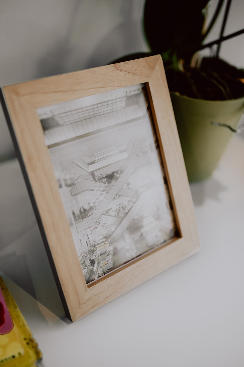 nature, contemporary, paper, design, container, close-up, selective focus, high angle view, communication, table, interior design, home, focus on foreground