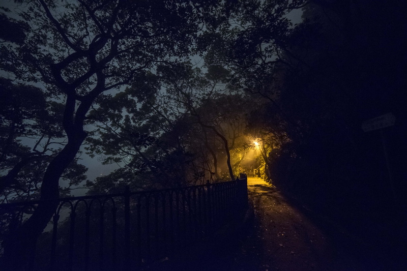 illuminated, no people, backlit, night, silhouette, hong kong, tranquility, tranquil scene, light, 5K, beauty in nature, dark, scenics - nature, trees