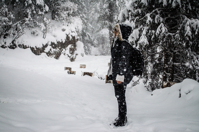 deep snow, plant, extreme weather, india, covering, leisure activity, real people, beauty in nature, winter, outdoors, shimla, land, day, forest, trees