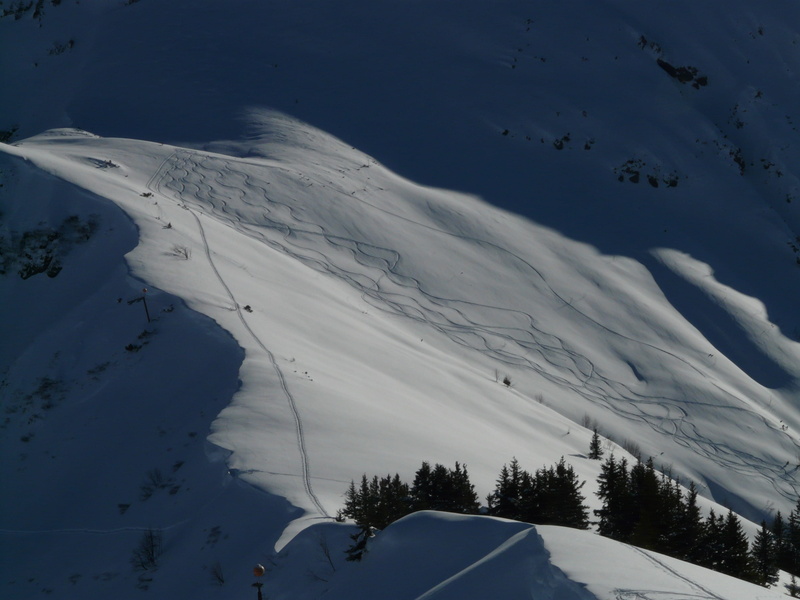 ridge, sky, comb, snowy, tree, environment, deep snow, plant, Curves, light, white color, 2K, wintry, powder snow, landscape, backcountry skiiing, nature