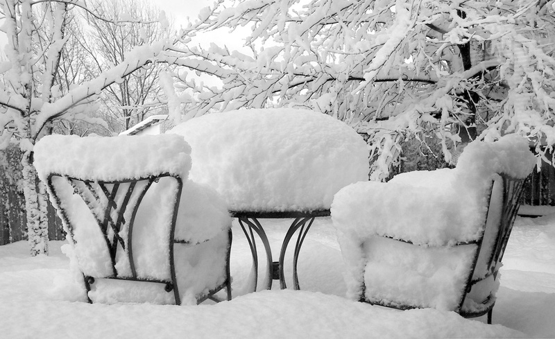 frost, branch, black, covering, white color, snow, blizzard, land, extreme weather, chair, snowing, urban Scene, attire, two, absence, armchairs, manhattan - New York City