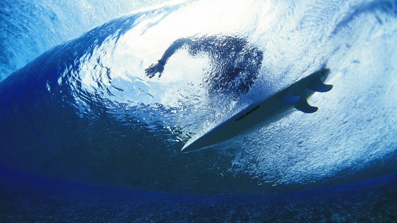 depth, pacific Ocean, undersea, surfboard, underwater, fish, sport, outdoors, deep, swimming, nautical vessel, whale, adventure, sea Life, blue, snow, mammal