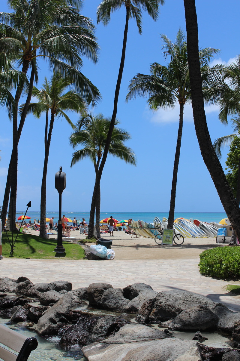 marine, 5K, sea, outdoor, sky, land, holiday, waikiki beach, environment, honolulu, scenic, wave, ocean, plant, transportation, beauty in nature, incidental people