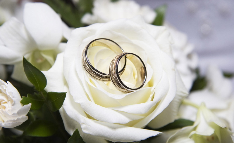 fragility, beauty in nature, bride, rings, beautiful, engagement, ring, colored, event, wedding, anniversary, flower, wedding Ceremony, backgrounds, diamond