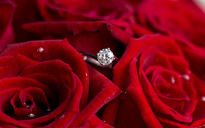 jewelry, Love, no people, luxury, precious gem, flowering plant, gemstone, diamond, colored, clear, diamond - gemstone, engagement, close-up, beauty in nature