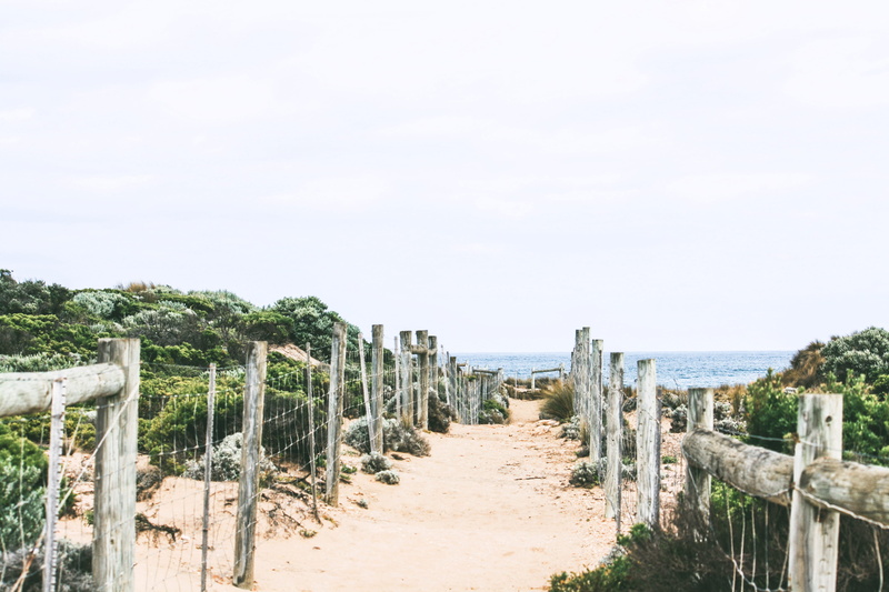 diminishing perspective, railing, ocean, direction, brown, wooden, no People, wood - Material, scenics, scenics - nature, in a row, dune, daytime, path