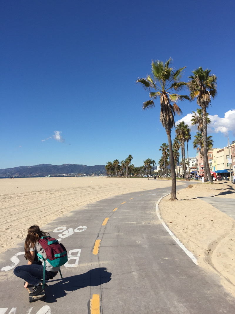 road, summer, fun, ride, real people, nature, full length, tree, shadow, blue, venice, pavement, los, one person, teen, beach, the way forward, outdoors