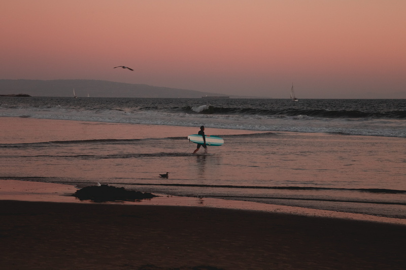 person, men, venice beach, sport, land, sports, beauty in nature, horizon over water, usa, sea, adventure, tranquility, leisure activities, exercise, nature