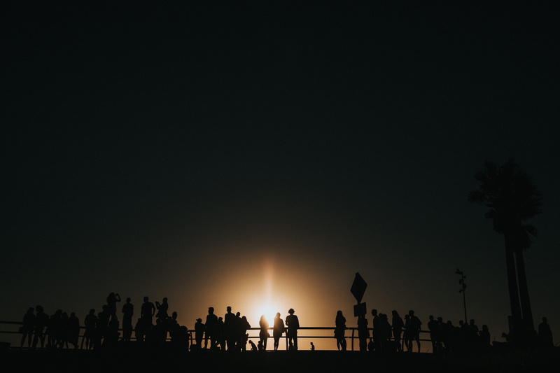 group of people, sunny, los angeles, la, beauty in nature, sea, skate or die, 5K, dusk, people, copy space, sunset, nature, sky, city, tree, vignette