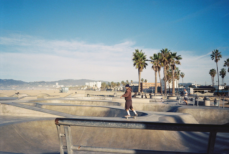 skate park, outdoors, la, architecture, day, young adult, palm tree, full length, city, ca, tree, skater, standing, sunlight, beach, skateboard, tropical climate