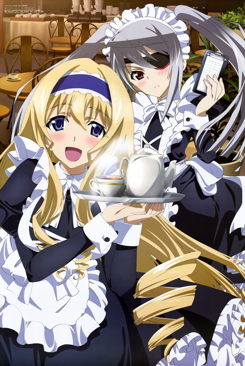 1080P, anime, Bodewig Laura, Alcot Cecilia, Anime Girls, Infinite Stratos