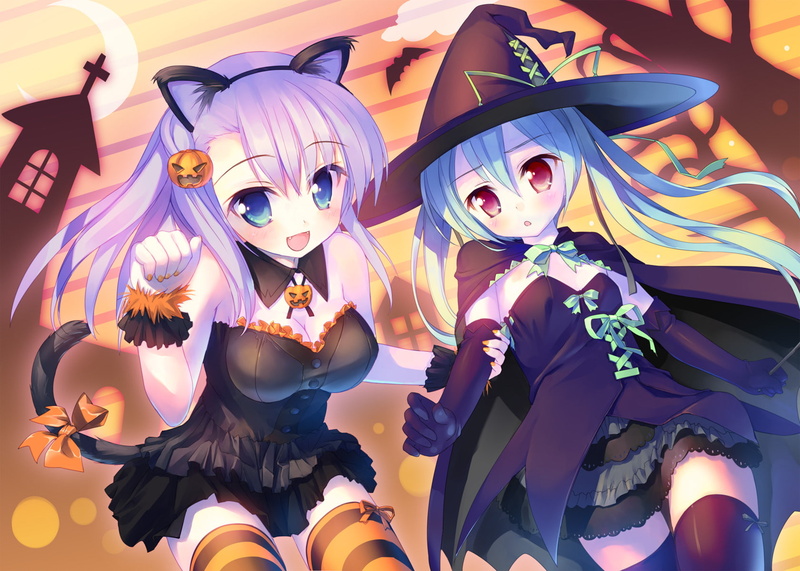 bat, moon, dress, manabe, hair, thighhighs, 720P, halloween, roast, takoyaki, tail, hat, purple, animal, kei, alcot, nanagi, sawatari
