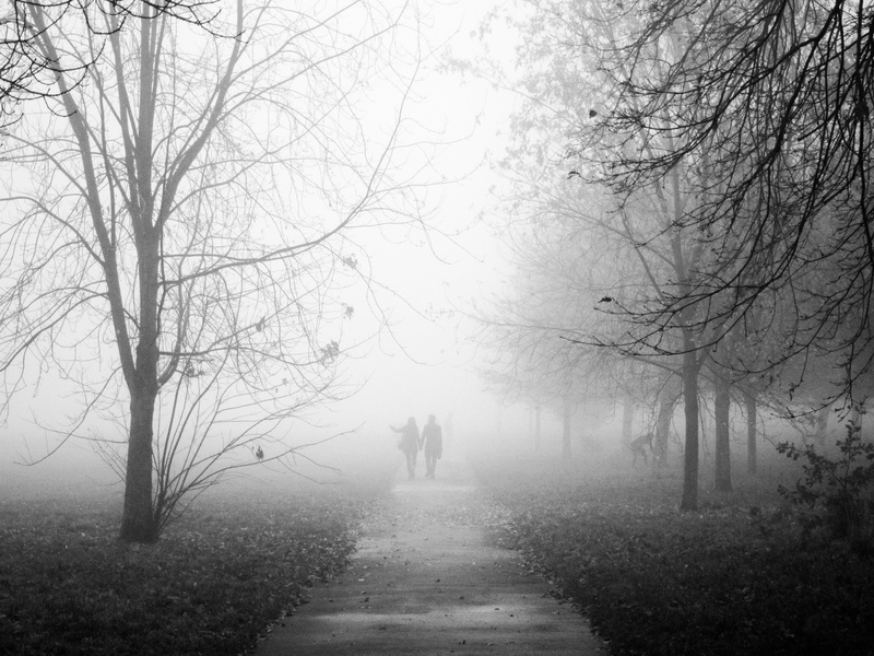 park, walking, Fog, regents  park, forest, park  street, Explored, autumn, loneliness, Regents Park, mist, london, people, mystery, tree, morning, couple
