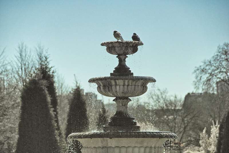 4K, motion, water, day, united kingdom, tree, angel, plant, fountain, clear sky, regents park, no people, spring, statue, london, regentspark, sculpture