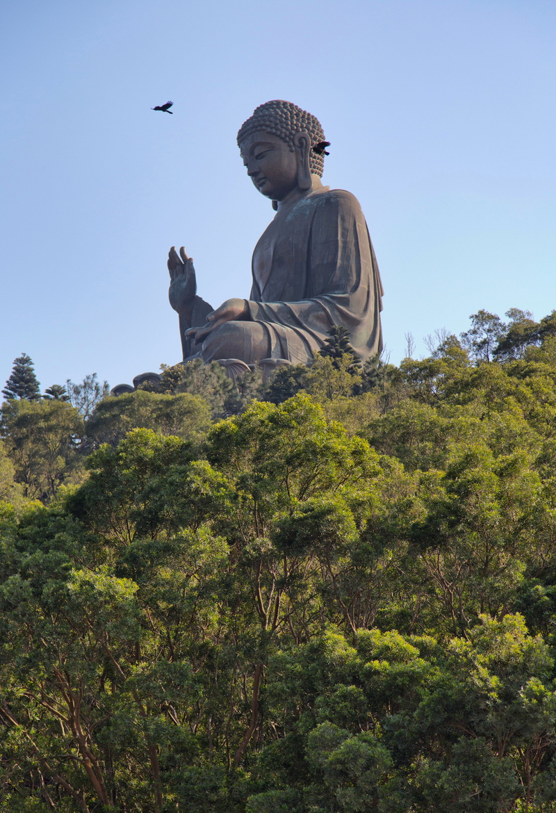travel, beauty in nature, nature, asia, plant, hongkong, 5K, vertebrate, day, tree, spiritual, sculpture, men, landmark, statue, lantau, clear sky, leisure activity
