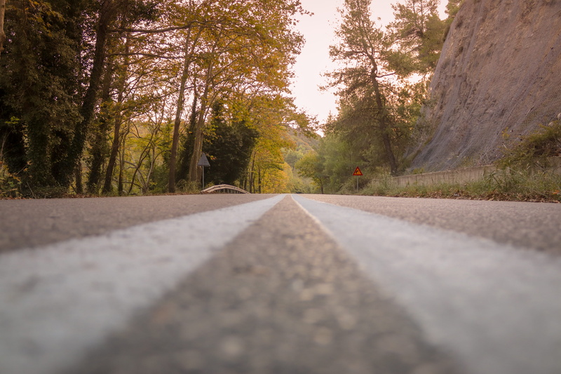 marking, way, surface level, fir, tree trunk, dividing line, empty road, the way forward, outdoors, gray, lines, tranquility, green color, gravel, road