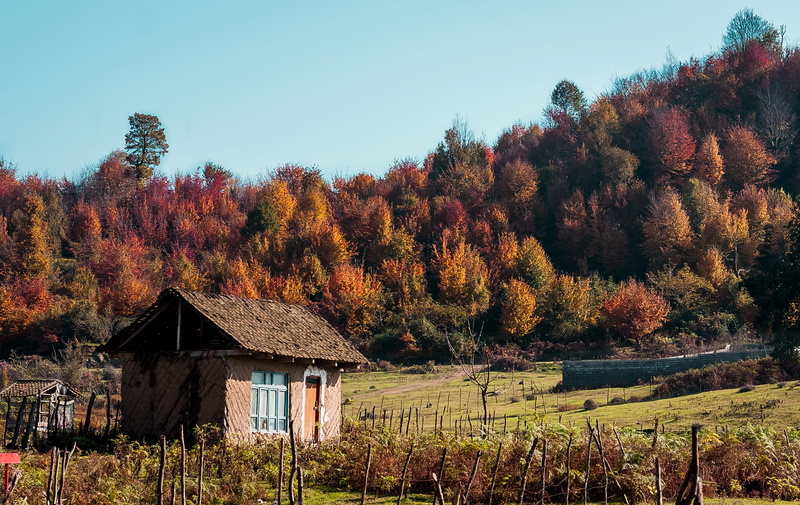 clear sky, built structure, love, astara, wall, good morning, land, trees, beauty in nature, gilan province, autumn, good morning flower