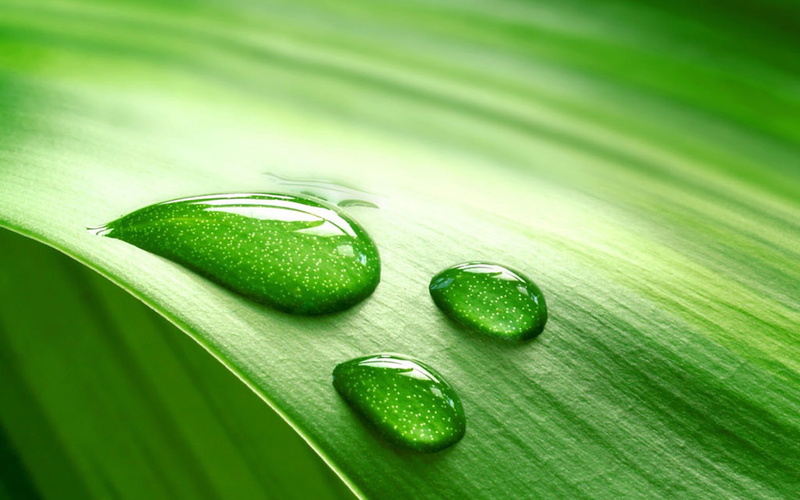 ilikewallpaper, com, drops, 2K, ipad, dew