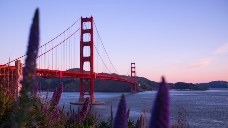 bay, tourism, united states, sky, city, nature, engineering, river, bridge - man made structure, architecture, travel destinations, red, goldengate, suspension bridge