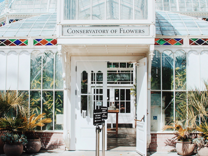 open, transparent, glass - material, plants, building exterior, architecture, nature, botanical, conservatory garden, window, plant, western script, 2K