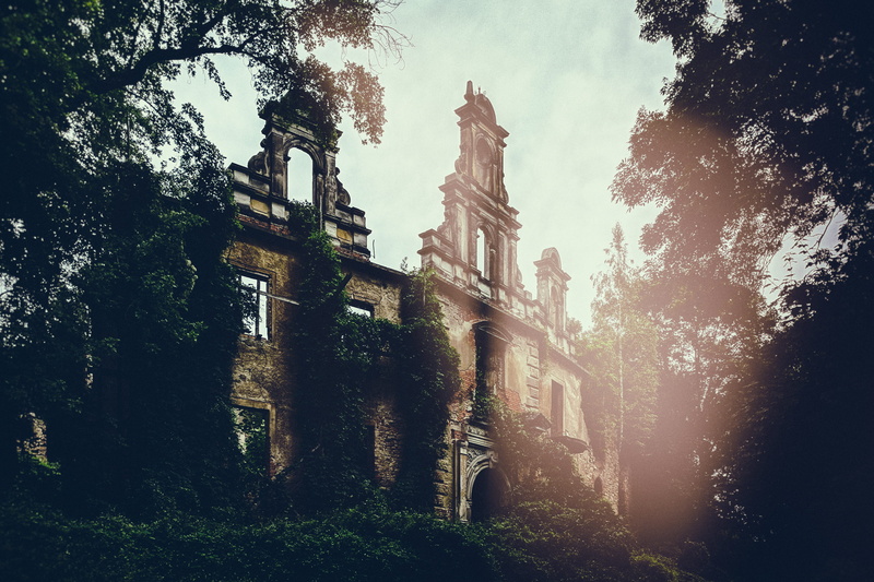 polska, old, low angle view, beautiful, vines, pożarzysko, trees, religion, ruin, sky, fancy, plant, abandoned, spirituality, architecture, building, building exterior