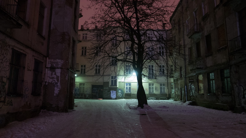 poland, tree, outdoors, city, nature, illuminated, bare tree, night, direction, łódź, lifestyles, built structure, alley, building, architecture, house