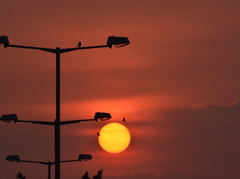orange color, sign, dawn, cloud - sky, street light, light pole, nature, street, lighting equipment, pole, sunrise, central, outdoors, light, no people