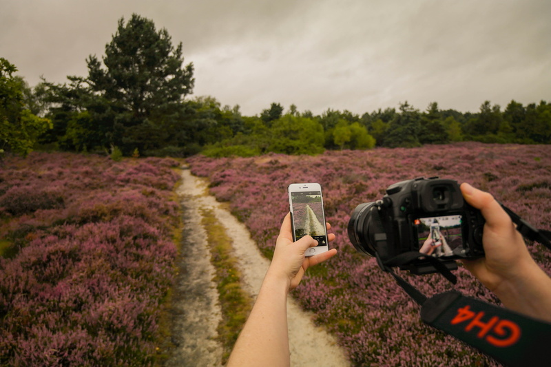 photographing, churt, smart phone, human body part, portable information device, tree, human hand, nature, sky, technology, green, apple, outdoors, digital camera