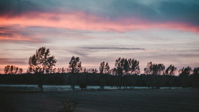field, sunset, beauty in nature, scenics - nature, tranquil scene, silhouette, sky, germany, landscape, growth, gh5s, 5K, environment, gh5, no people
