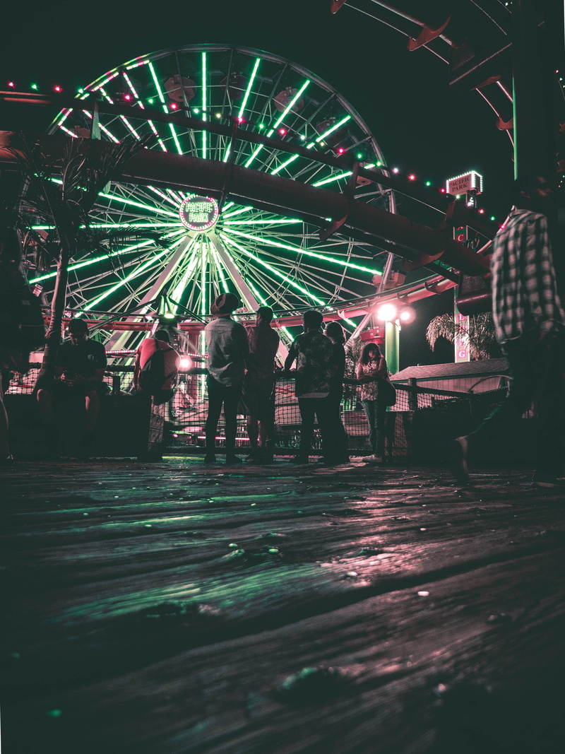 large group of people, Lumix, crowd, fun, celebration, nightlife, Wheel, night, amusement park ride, Ferris, Landscape, Santa Monica Pier, group of people