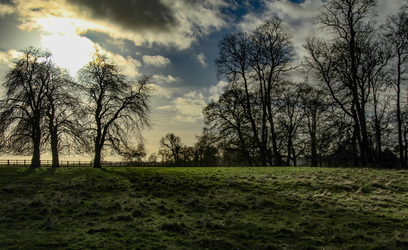 dawn, beauty in nature, fences, 5K, landscape, park, scenic, dark clouds, plant, green color, forest, dusk, nature, field, trees, rural, environment, non-urban scene
