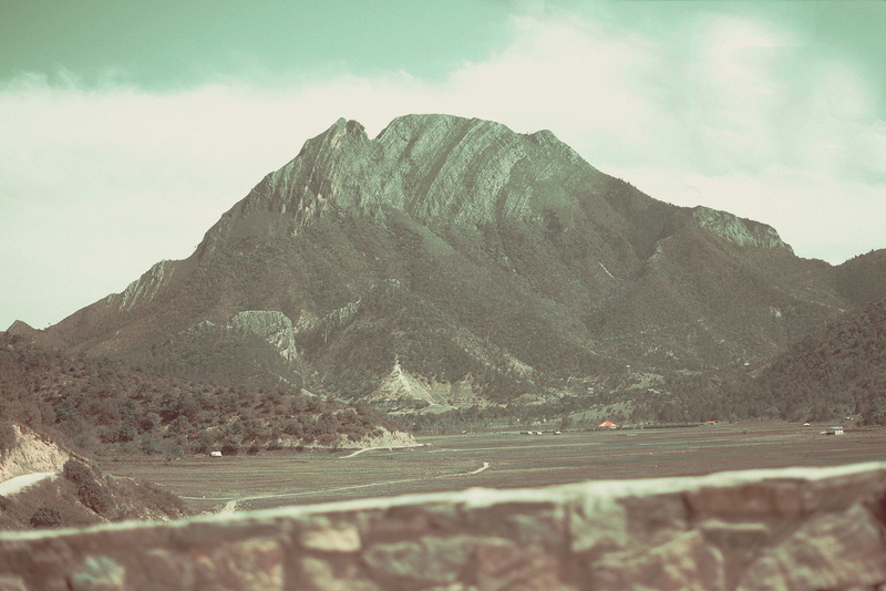 beauty in nature, geology, outdoors, tranquil scene, 4K, physical geography, monterrey, environment, scenics - nature, formation, trees, non-urban scene