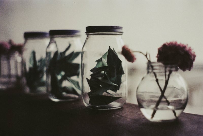 flowering plant, origami, glass - material, container, bottle, monterrey, vase, nature, flower, no people, side by side, jar, decoration, transparent, indoors