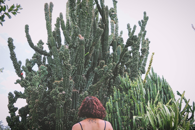 mexico, beauty in nature, plant, outdoors, lifestyles, hairstyle, monterrey, nature, adult, 5K, portrait, tree, headshot, women, green, growth, one person