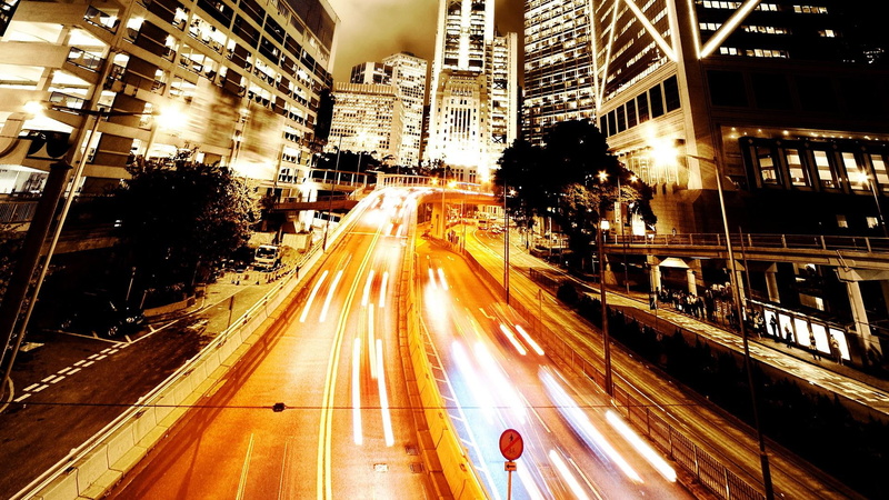 city, architecture, street, lights, cool, 1080P, animals, modern, black, night