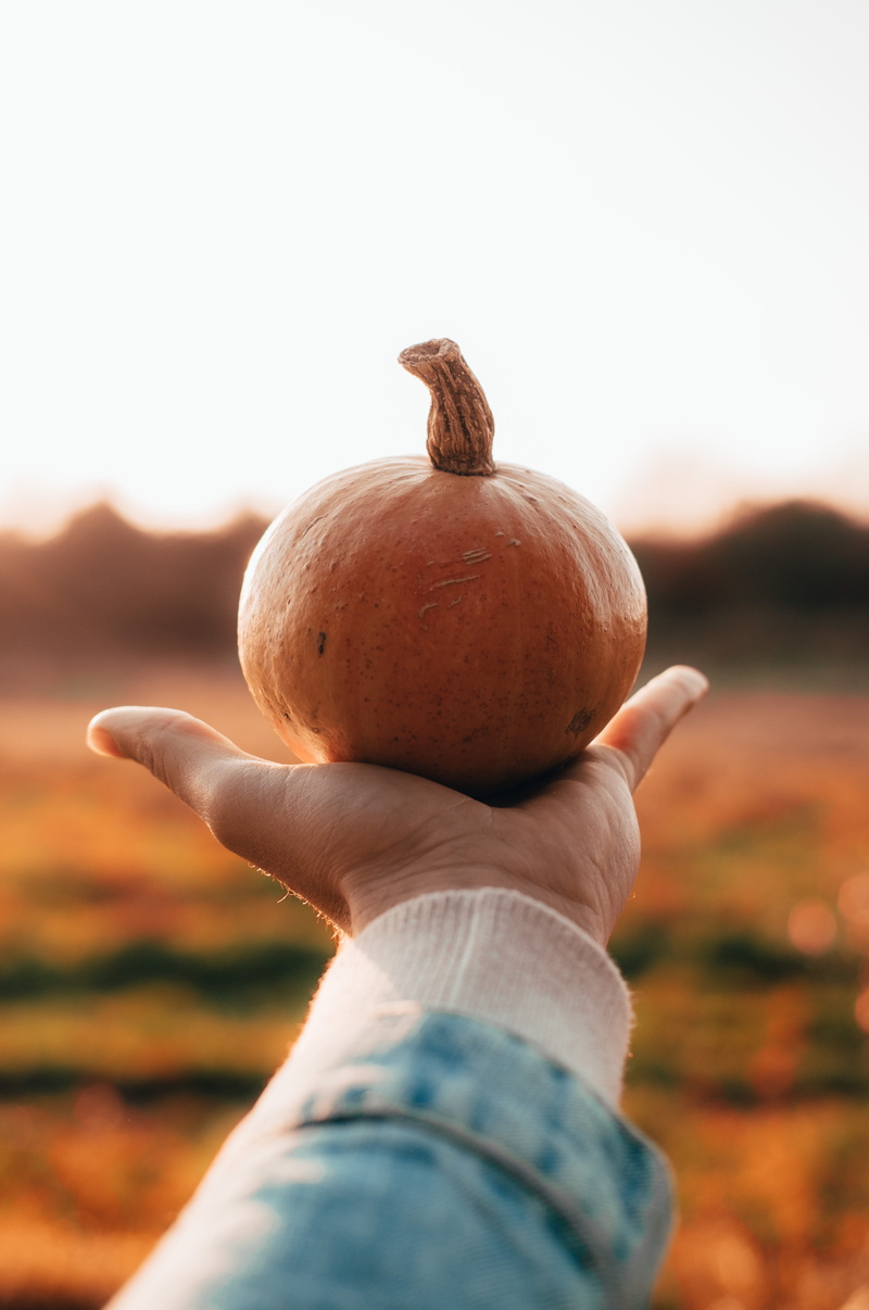 orange, wellbeing, healthy eating, focus on foreground, personal perspective, food, holding, freshness, person, outdoors, hand, sky, seasonal, one person
